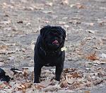     
: DSC_0405.JPG
: 39
:	132.7 
ID:	3439698