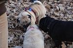     
: DSC_0516.JPG
: 24
:	136.0 
ID:	3439897