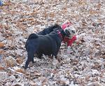     
: DSC_0535.JPG
: 25
:	201.1 
ID:	3439898