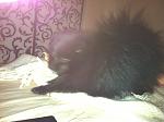     
: IMG_0030.jpg
: 49
:	100.3 
ID:	3444619
