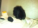     
: IMG_0033.jpg
: 50
:	119.8 
ID:	3444620