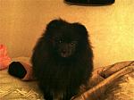     
: IMG_0035.jpg
: 58
:	259.9 
ID:	3444624