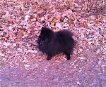     
: IMG_0016.jpg
: 50
:	298.1 
ID:	3444626