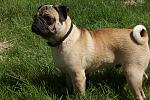     
: DSC07799.jpg
: 43
:	226.2 
ID:	3446533