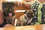     
: DSC07861.jpg
: 43
:	123.3 
ID:	3446539