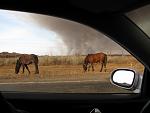     
: IMG_6556.jpg
: 143
:	192.0 
ID:	3448251
