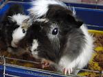     
: DSC00551.jpg
: 24
:	129.4 
ID:	3451064
