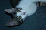     
: IMG_07922.JPG
: 29
:	147.8 
ID:	3452692