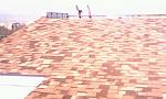     
: IMG0035B.jpg
: 109
:	44.8 
ID:	3459746