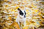     
: fe973f2bfbbd.jpg
: 56
:	89.4 
ID:	3461533