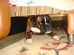     
: DSC03897.jpg
: 50
:	156.9 
ID:	3463538