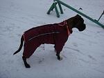     
: DSC03424.jpg
: 26
:	75.2 
ID:	3463651