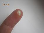     
: IMG_2608.jpg
: 26
:	48.5 
ID:	3467519
