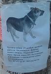     
: овчар.jpg
: 186
:	72.6 
ID:	3467980