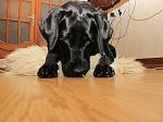     
: y_383298ff.jpg
: 25
:	123.9 
ID:	3470854