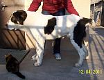     
: 100_4395.jpg
: 44
:	152.6 
ID:	3471732
