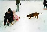     
: 729915c6c206.jpg
: 27
:	32.0 
ID:	3471851