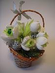     
: DSCN7489.jpg
: 21
:	258.9 
ID:	3476916