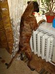     
: DSC03908.jpg
: 48
:	100.9 
ID:	3480981