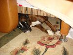     
: DSC03895.jpg
: 47
:	125.7 
ID:	3481061