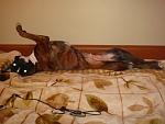     
: DSC03916.jpg
: 46
:	103.3 
ID:	3481064