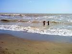     
: PIC-0773.jpg
: 39
:	51.2 
ID:	348156