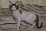     
: DSC04827.jpg
: 31
:	42.7 
ID:	349007