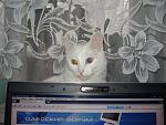     
: DSC01272.JPG
: 23
:	140.8 
ID:	3490739
