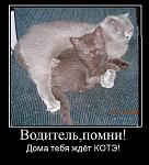     
: kote6.JPG
: 22
:	99.1 
ID:	3492783