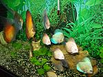     
: 100_0849.jpg
: 63
:	251.5 
ID:	3500735