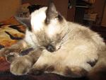     
: z_90b062db.jpg
: 37
:	228.1 
ID:	3502012