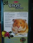     
: DSC00555.jpg
: 19
:	100.0 
ID:	3504541
