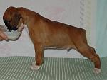     
: DSC01430.jpg
: 16
:	122.7 
ID:	3506986