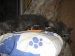     
: P1010007.jpg
: 15
:	83.3 
ID:	3507130