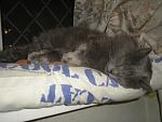     
: P1010006.jpg
: 18
:	89.7 
ID:	3507134