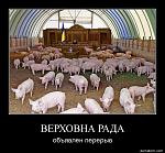     
: photo_25137.jpg
: 20
:	107.2 
ID:	3508213