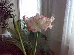     
: 13122011973.jpg
: 49
:	141.7 
ID:	3511261