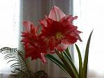     
: 13122011976.jpg
: 47
:	105.1 
ID:	3511263