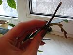     
: DSC03922.jpg
: 24
:	105.1 
ID:	3514135