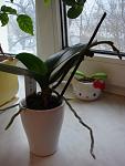     
: DSC03923.jpg
: 22
:	75.0 
ID:	3514136