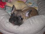     
: IMG_2041.jpg
: 46
:	179.4 
ID:	3517019