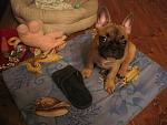     
: IMG_2111.jpg
: 50
:	140.8 
ID:	3517022