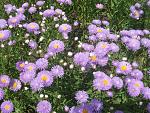     
: 6 lfxf 003.jpg
: 40
:	159.1 
ID:	351923