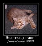     
: kote7.JPG
: 27
:	62.6 
ID:	3523033