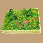     
: phoca_thumb_l_30.08 (3).preview.jpg
: 23
:	49.4 
ID:	3524520