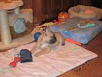     
: IMG_2112.jpg
: 14
:	139.8 
ID:	3526374
