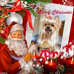     
: 384889_234727519929139_100001756777463_555851_1078230895_n.jpg
: 18
:	120.3 
ID:	3527123