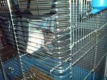     
: DSC00705.JPG
: 43
:	223.1 
ID:	3527571