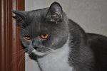     
: z_e8d98a5e.jpg
: 28
:	245.8 
ID:	3528789