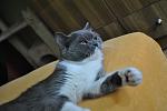    
: z_823c7470.jpg
: 25
:	247.7 
ID:	3528790